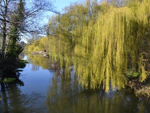 Coltishall Bridge House B&B מראה חיצוני תמונה